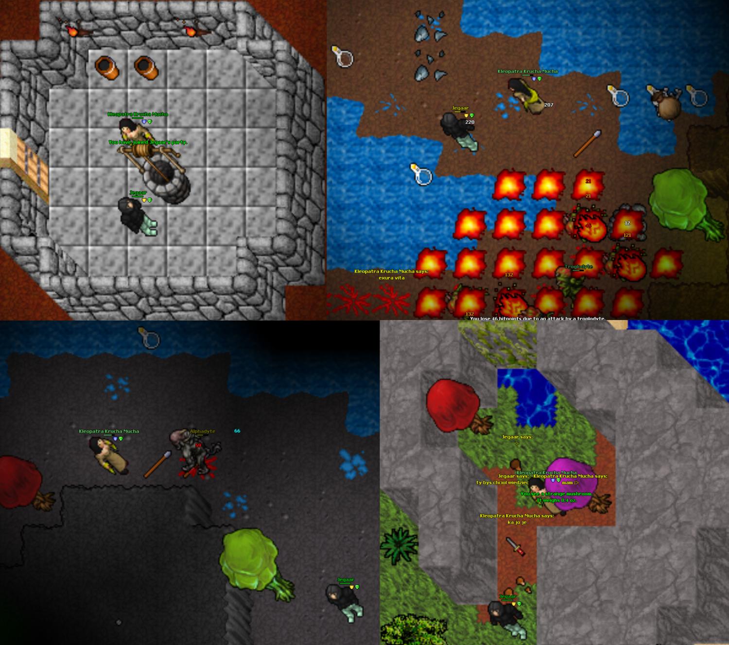 Screeny z Tibiantisa :-)-3e.jpg