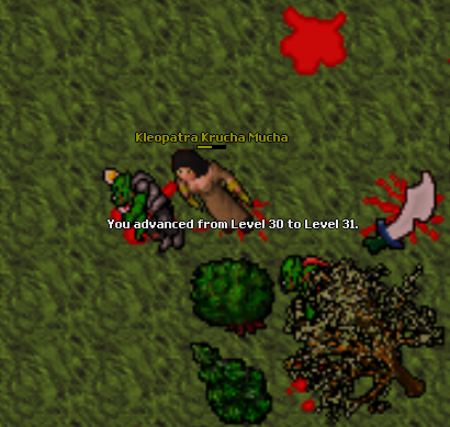 Screeny z Tibiantisa :-)-9e-31.png