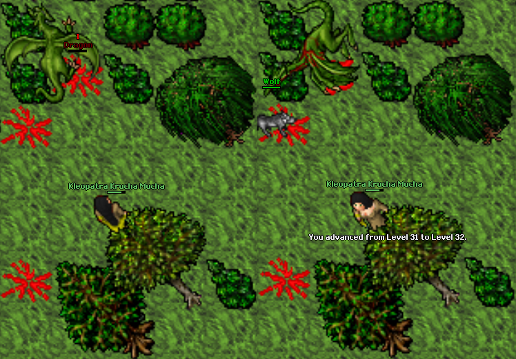 Screeny z Tibiantisa :-)-13e.png