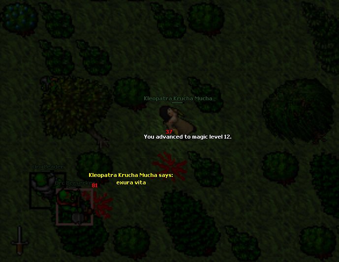 Screeny z Tibiantisa :-)-15e.png