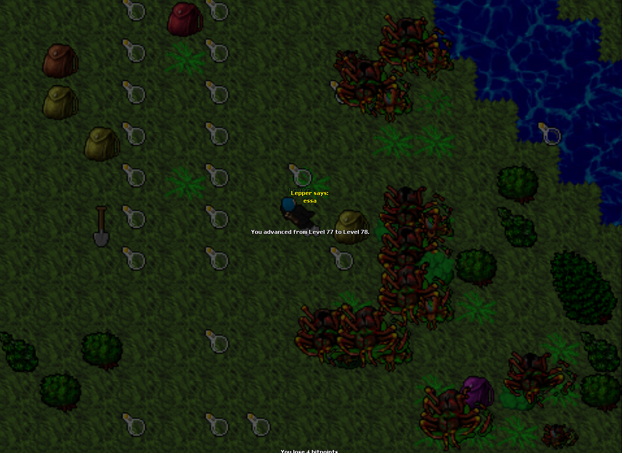 Screeny z Tibiantisa :-)-78.png
