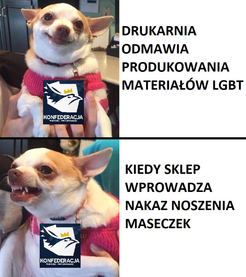 Wiadomości z kraju i ze świata-untitled-1.jpg