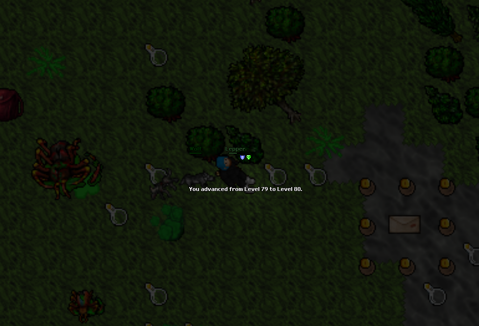 Screeny z Tibiantisa :-)-80.png