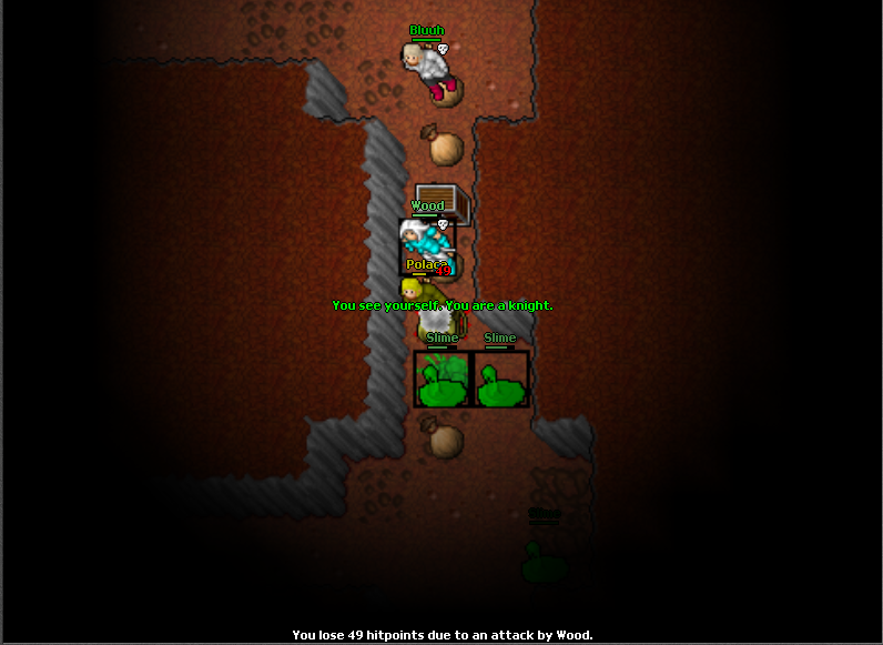 Screeny z Tibiantisa :-)-dyntka-4.png