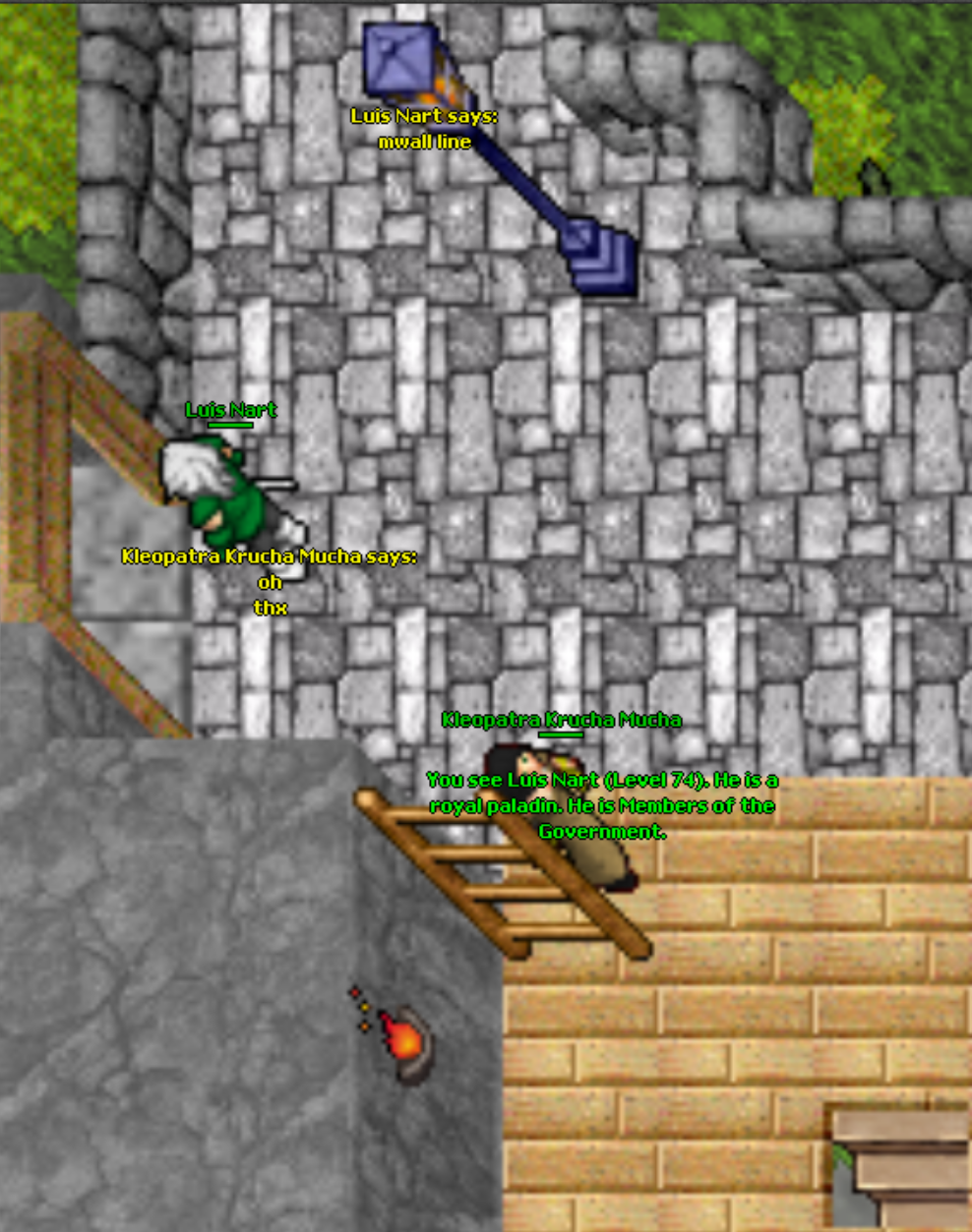 Screeny z Tibiantisa :-)-mwall.png