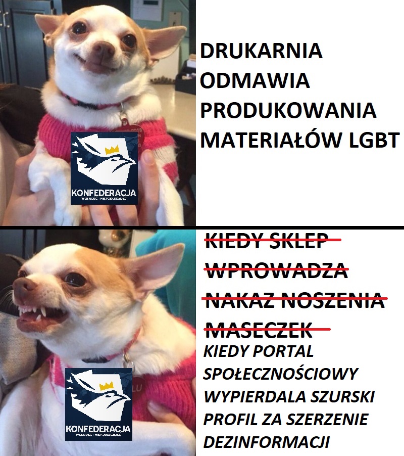 Wiadomości z kraju i ze świata-268420388_427136242483671_8034644919416757618_n.jpg