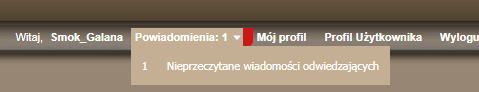Tutaj zgłaszamy błędy dotyczące serwisu-blond.png