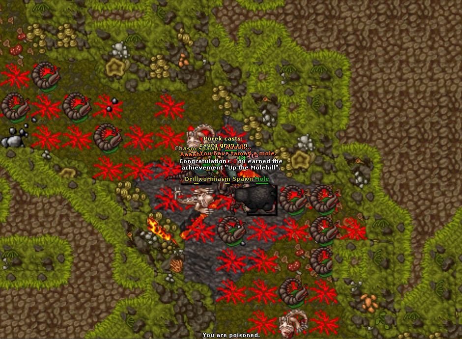 All Pics Thread - zdjecia ze wszystkich serwerow-cacz1.png