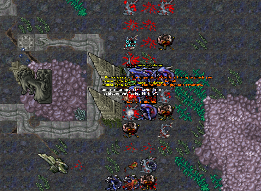 All Pics Thread - zdjecia ze wszystkich serwerow-kreweta.png