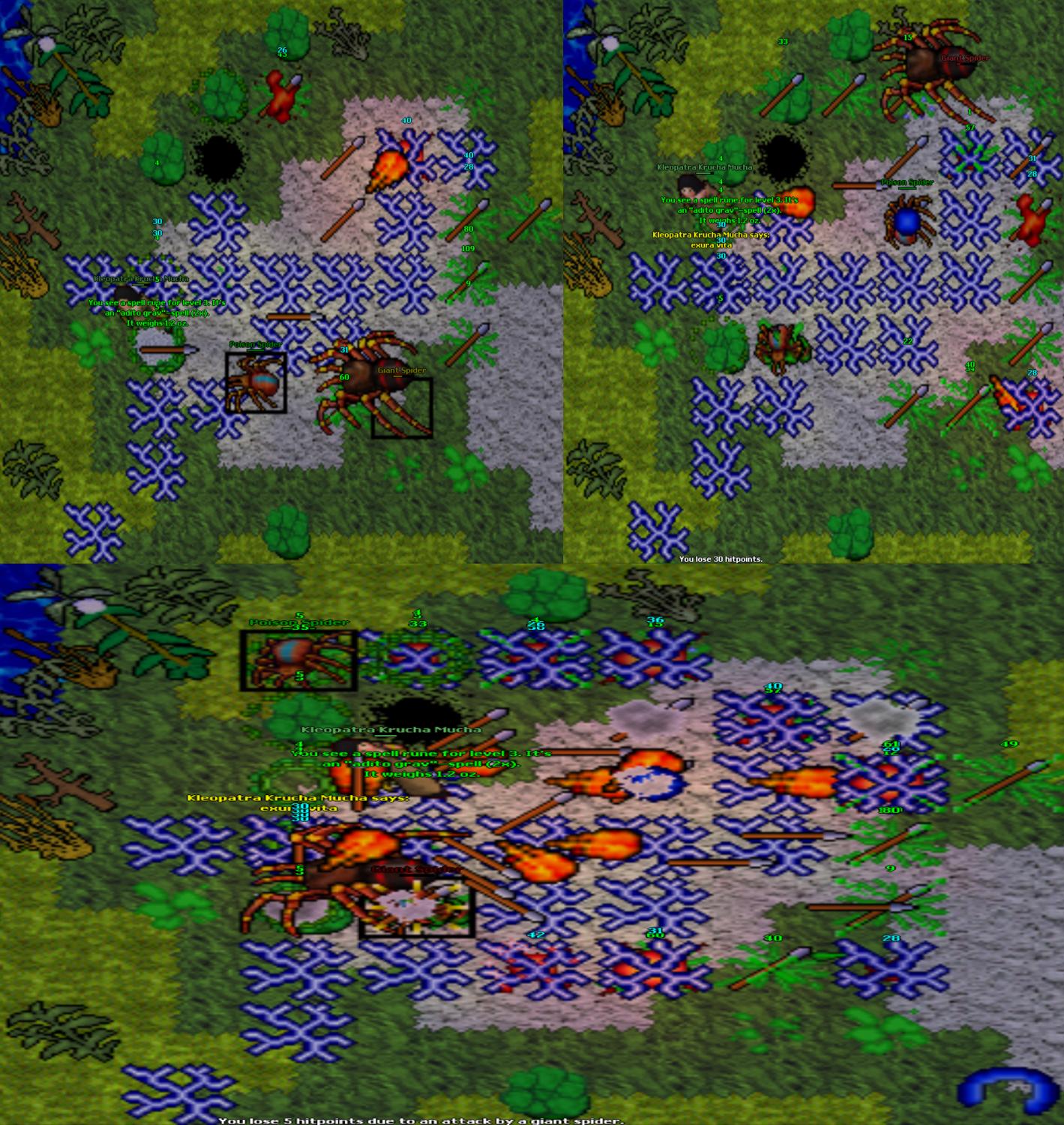 Screeny z Tibiantisa :-)-2g.jpg