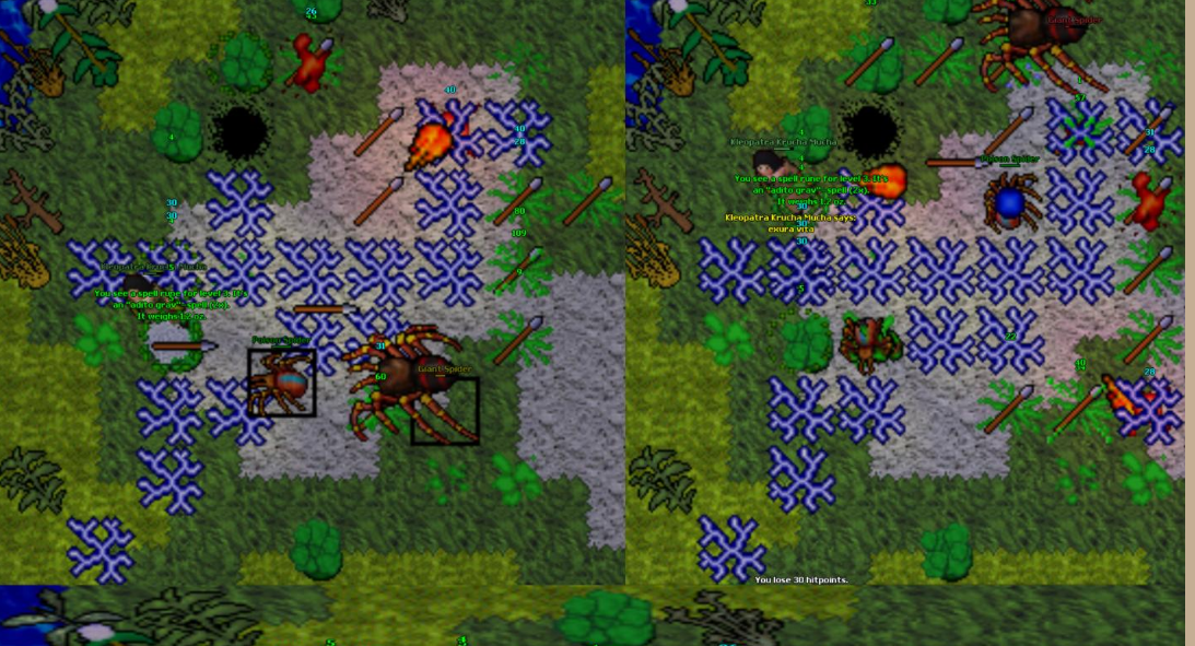 Pomysły na zdobycie ekwipunku, low lvl chary, low lvl expy, przygoda, rpg feelings!-gscinadzielnamucha.png