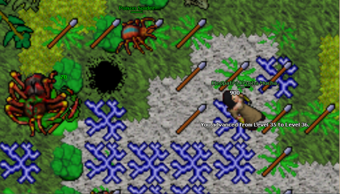 Pomysły na zdobycie ekwipunku, low lvl chary, low lvl expy, przygoda, rpg feelings!-gsica9dzielnamucha.png