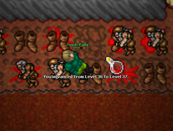 Screeny z Tibiantisa :-)-37.png