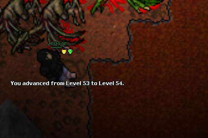 Screeny z Tibiantisa :-)-screenshot_40.png