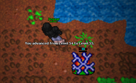 Screeny z Tibiantisa :-)-55.png