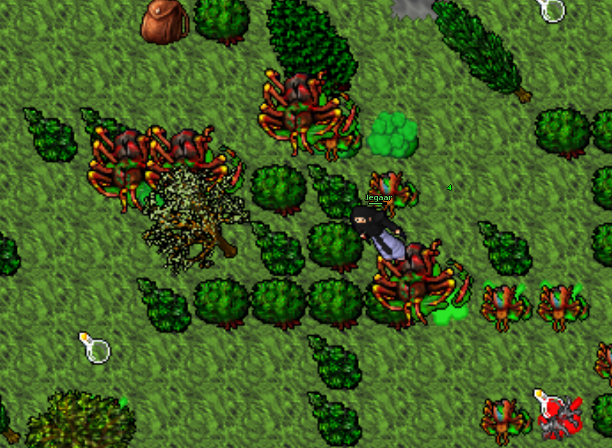 Screeny z Tibiantisa :-)-gsy.png
