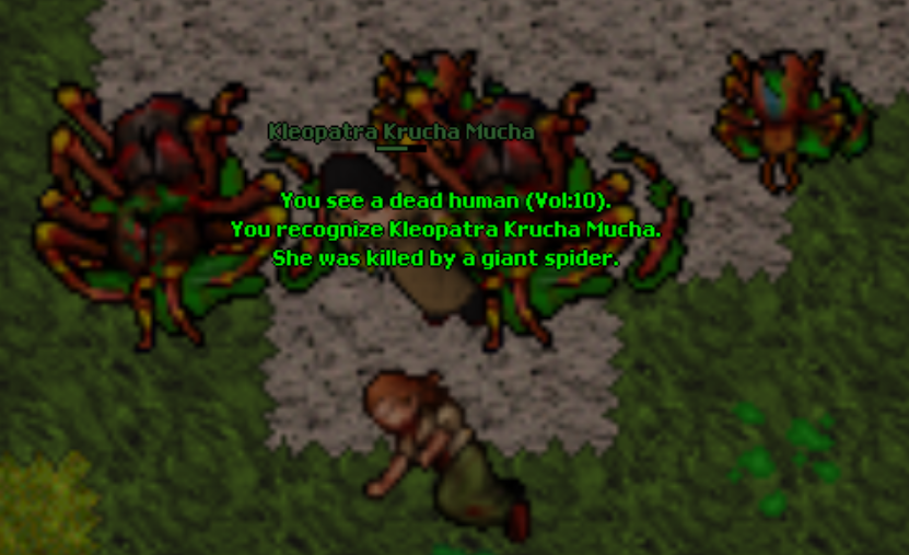 Screeny z Tibiantisa :-)-deduffka.png