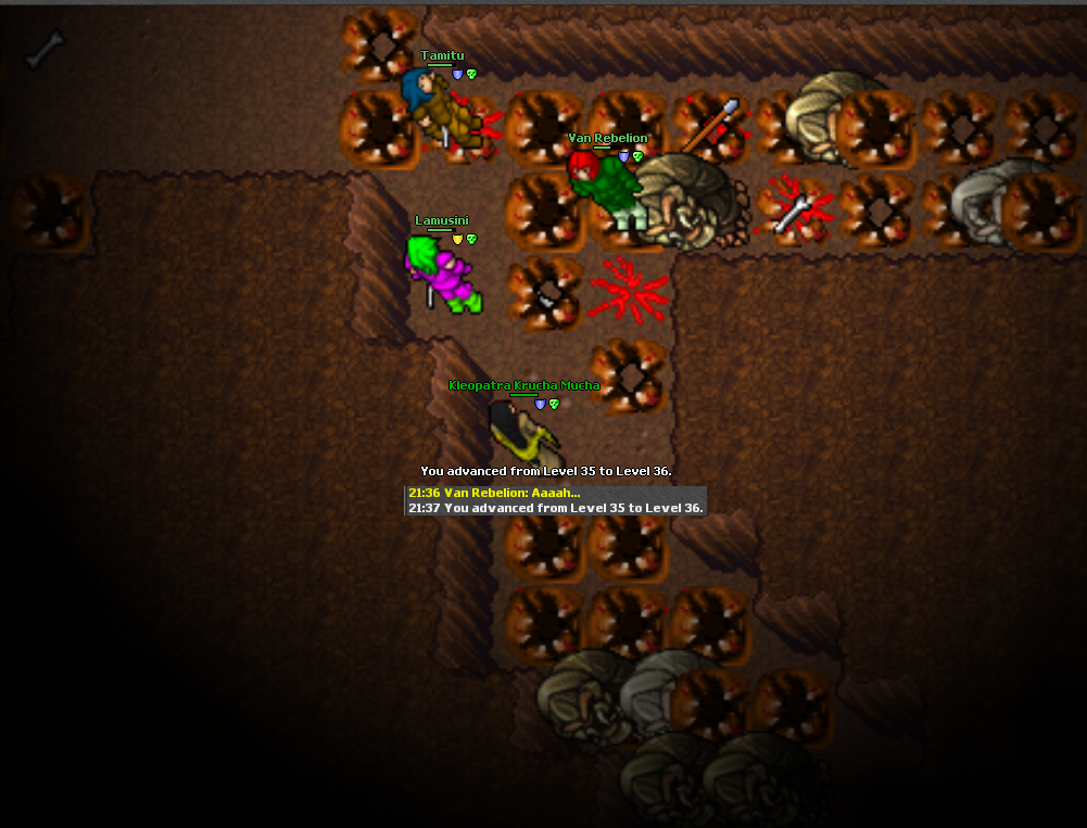 Screeny z Tibiantisa :-)-36-odbity.png