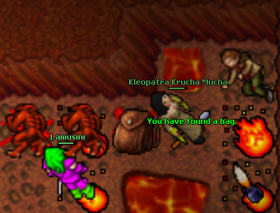 Screeny z Tibiantisa :-)-tarczaimihg.png
