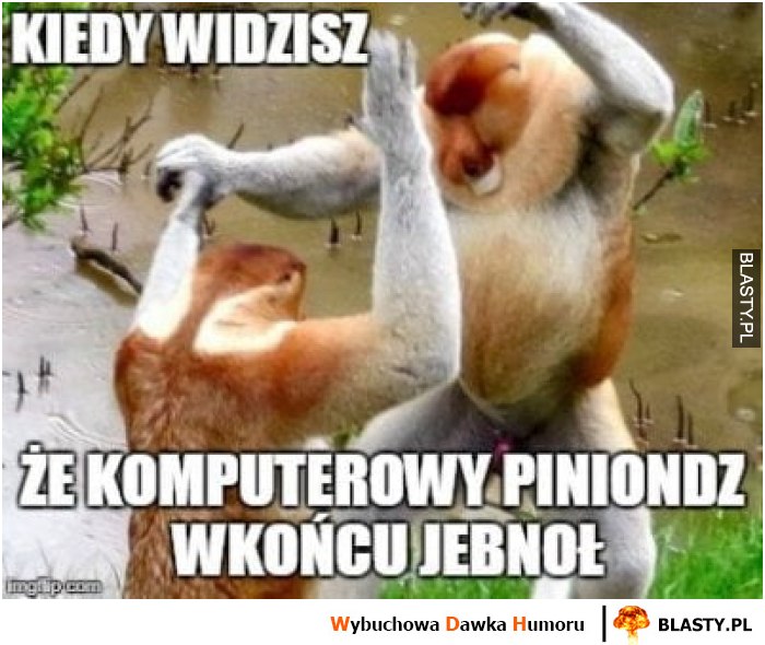 Bitcoin - wirtualna waluta, realny zysk.-kiedy-widzisz-ze-komputerowy_2018-02-01_21-38-04.jpg