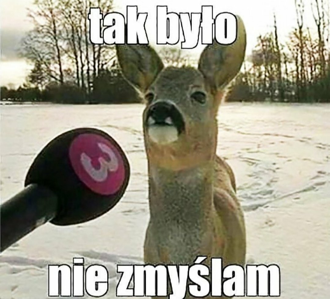 m,ój ulubiony koelga z secury nie loguje się, nie wiem co z nim-1824599e66d6144ejzcgzswkaa8lah.jpg
