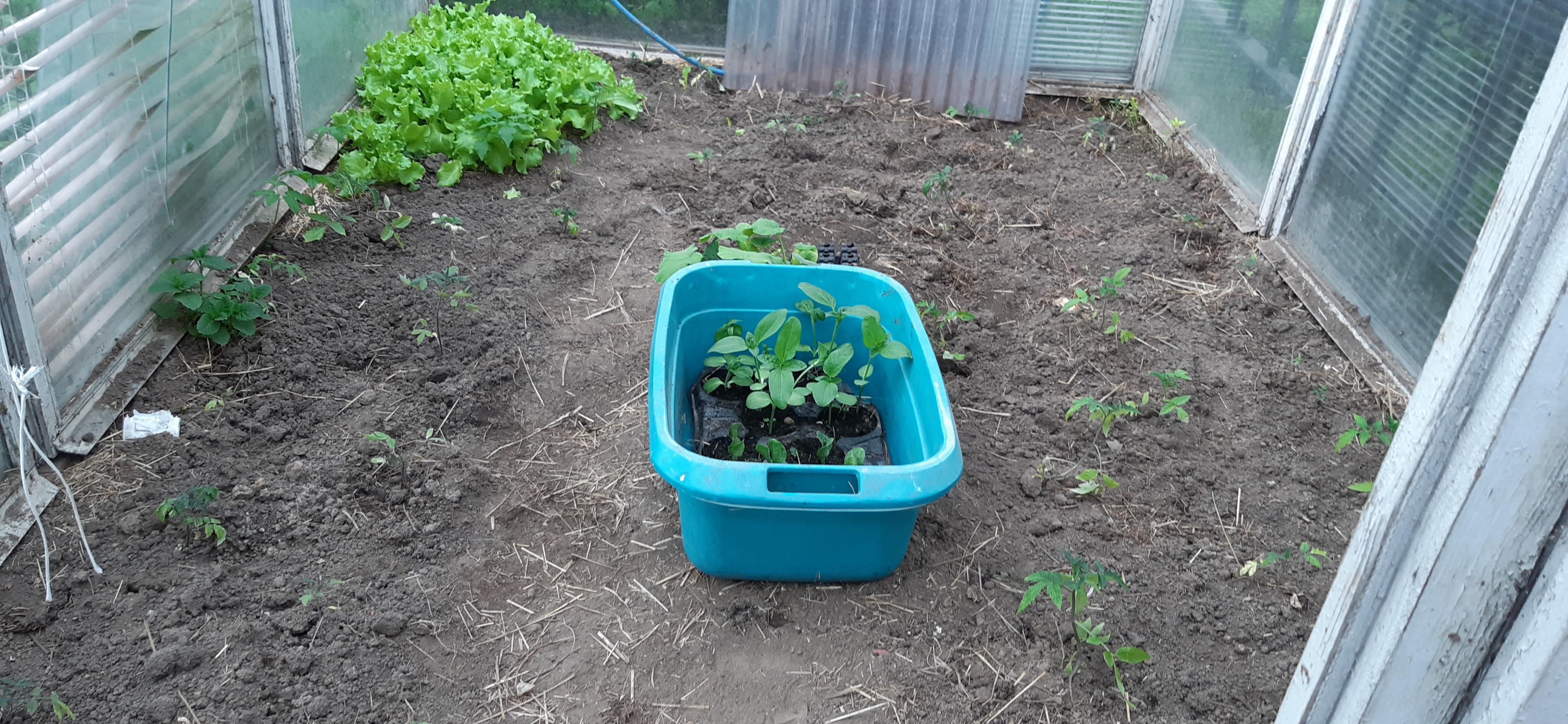 moje bagno-20220505_174452.jpg