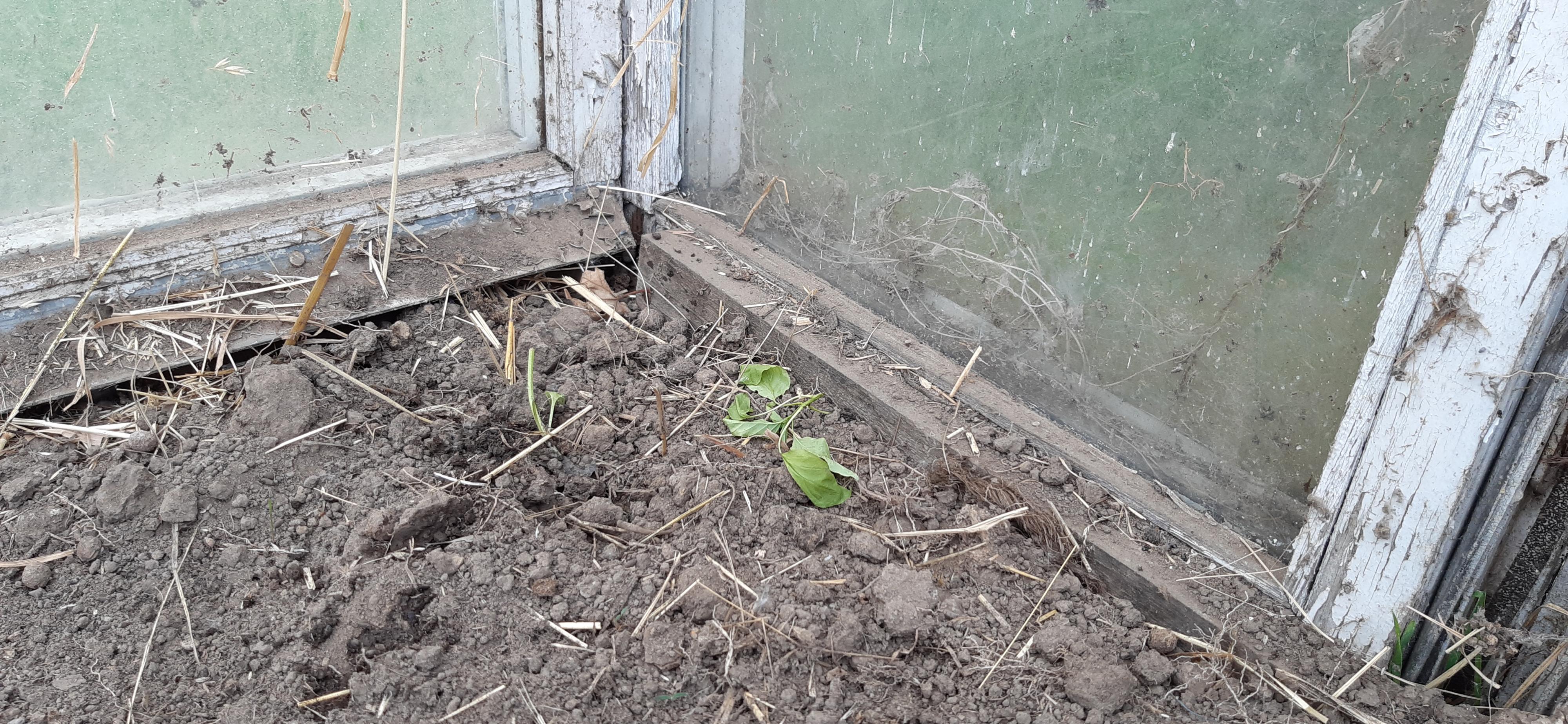 moje bagno-20220507_152157.jpg