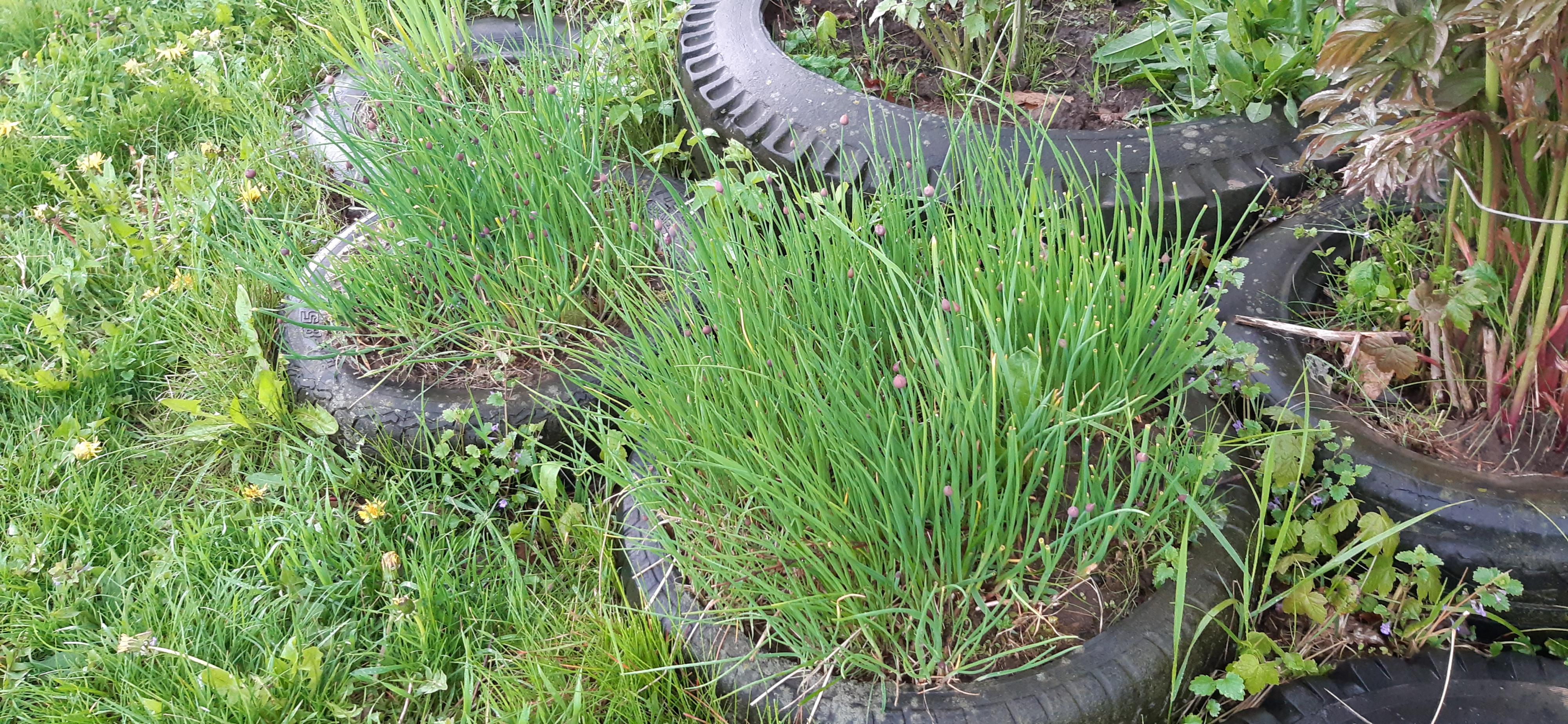 moje bagno-20220505_181203.jpg