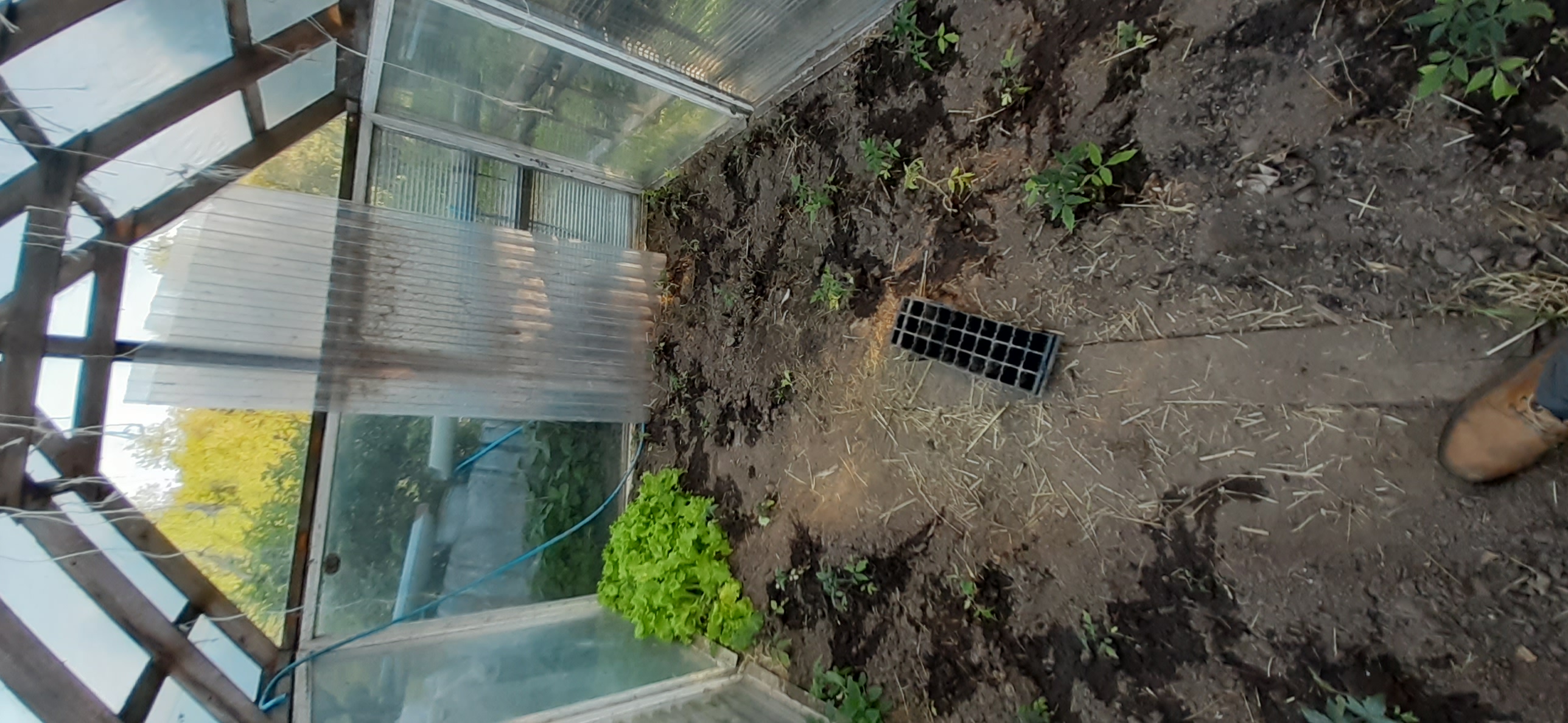 moje bagno-20220509_183349.jpg