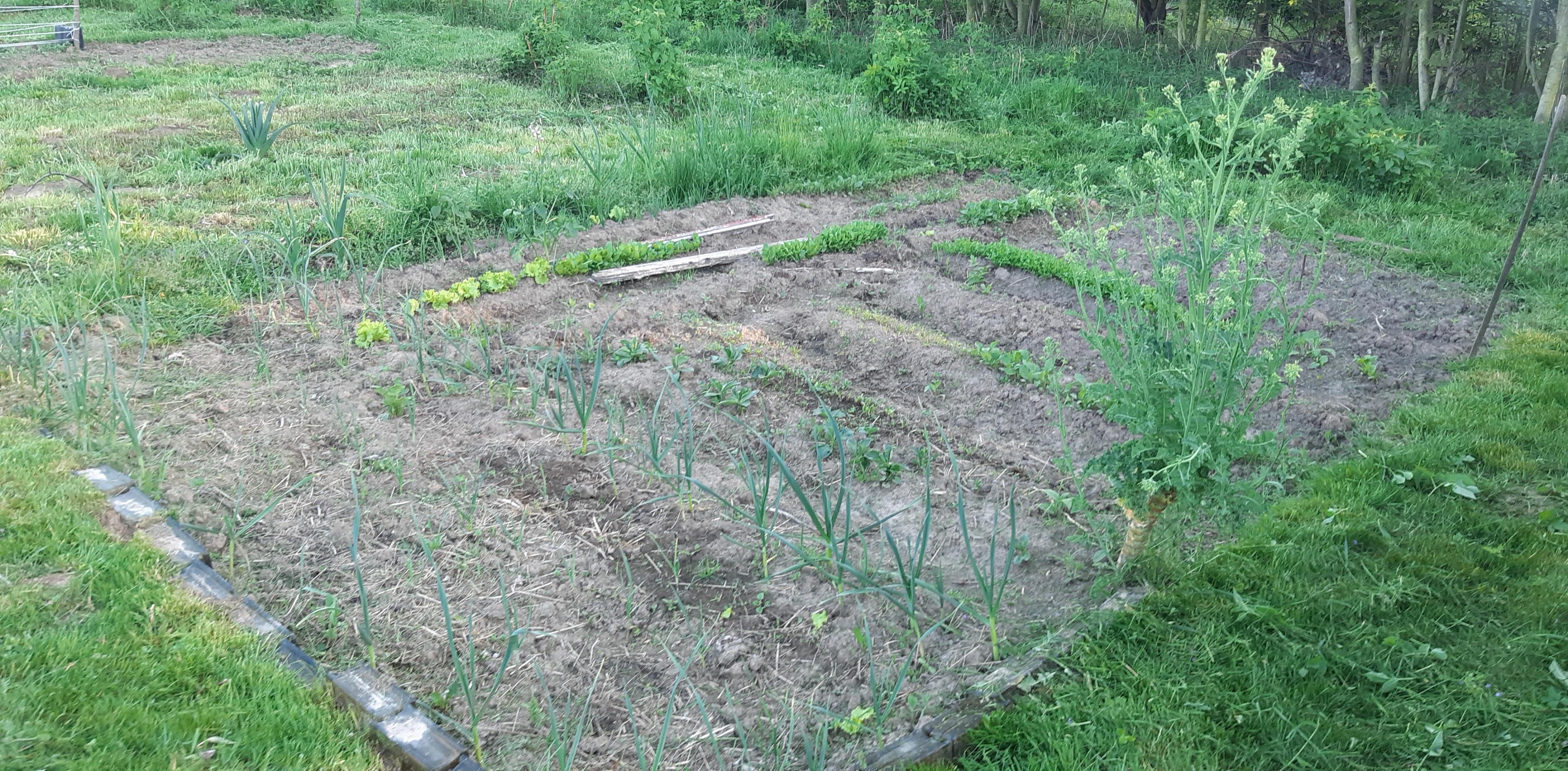 moje bagno-20220509_185511.jpg