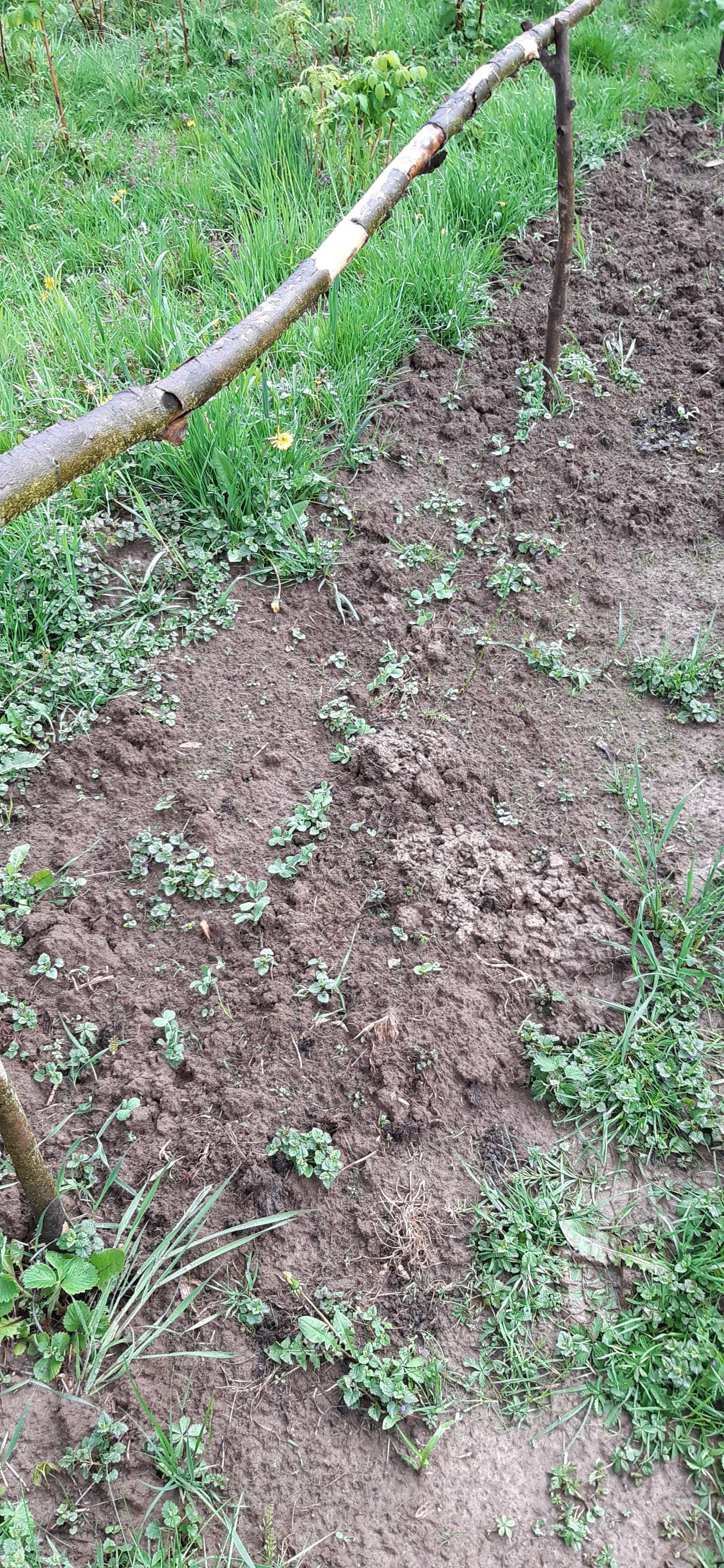 moje bagno-grochtest.jpg