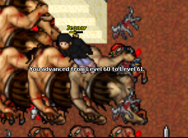 Screeny z Tibiantisa :-)-61lvl.png