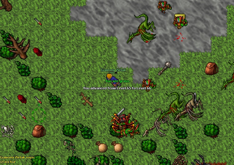 Screeny z Tibiantisa :-)-66.jpg