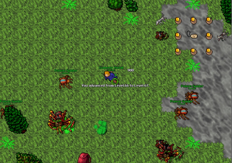 Screeny z Tibiantisa :-)-67.jpg
