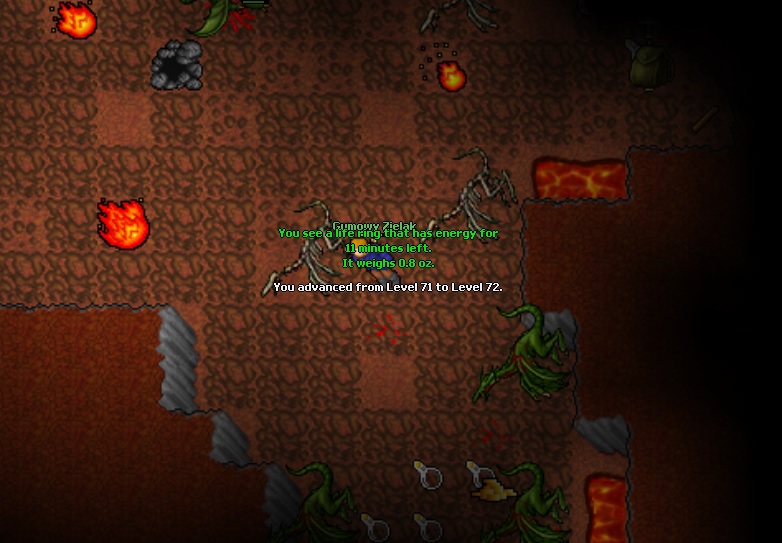 Screeny z Tibiantisa :-)-72.jpg