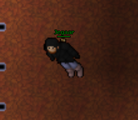 Screeny z Tibiantisa :-)-powrut.png
