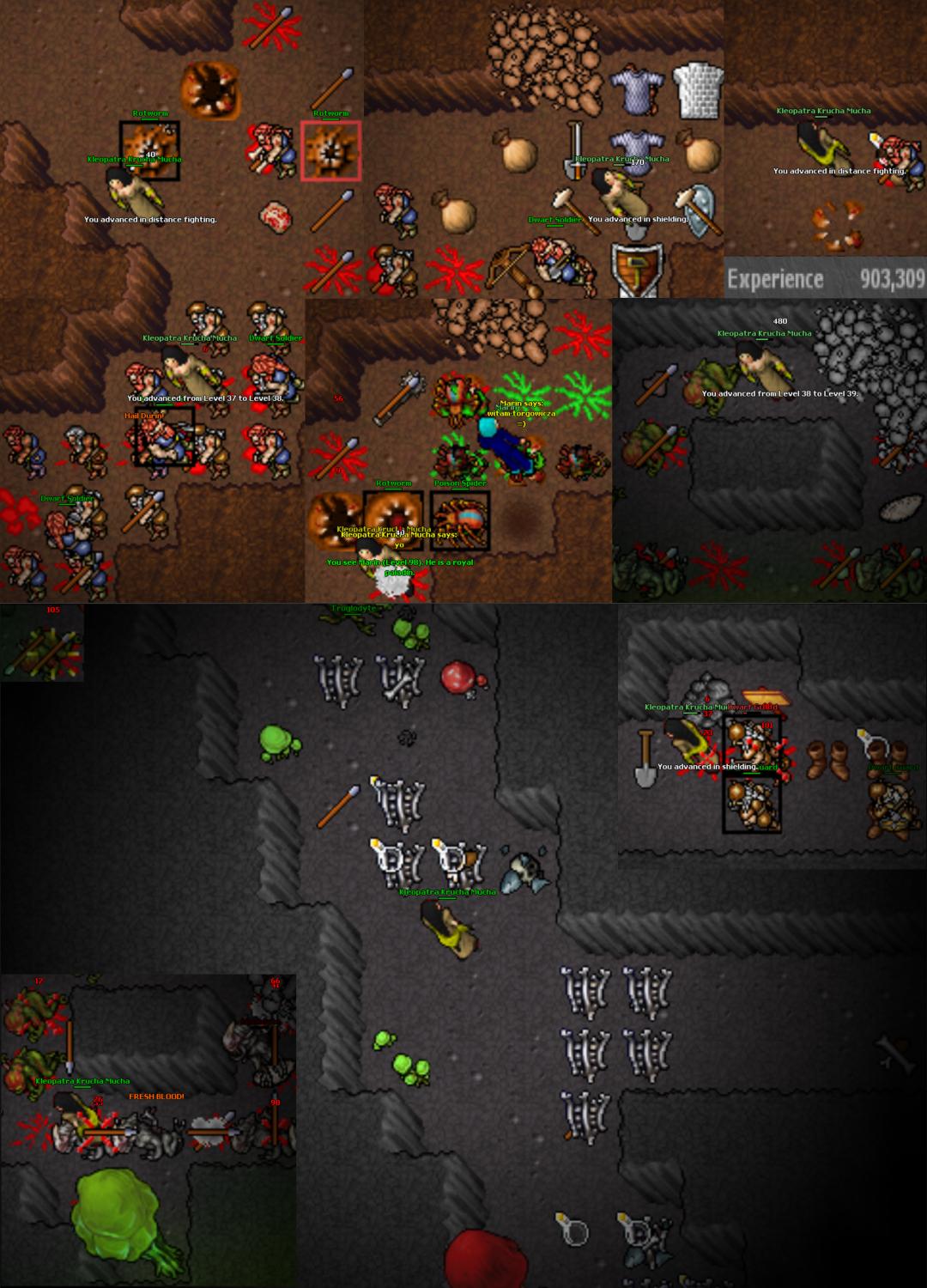 Screeny z Tibiantisa :-)-a1-awanse-trogle.jpg