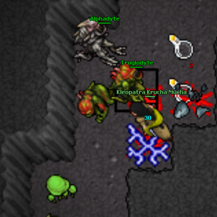 Screeny z Tibiantisa :-)-a4-makarena.png