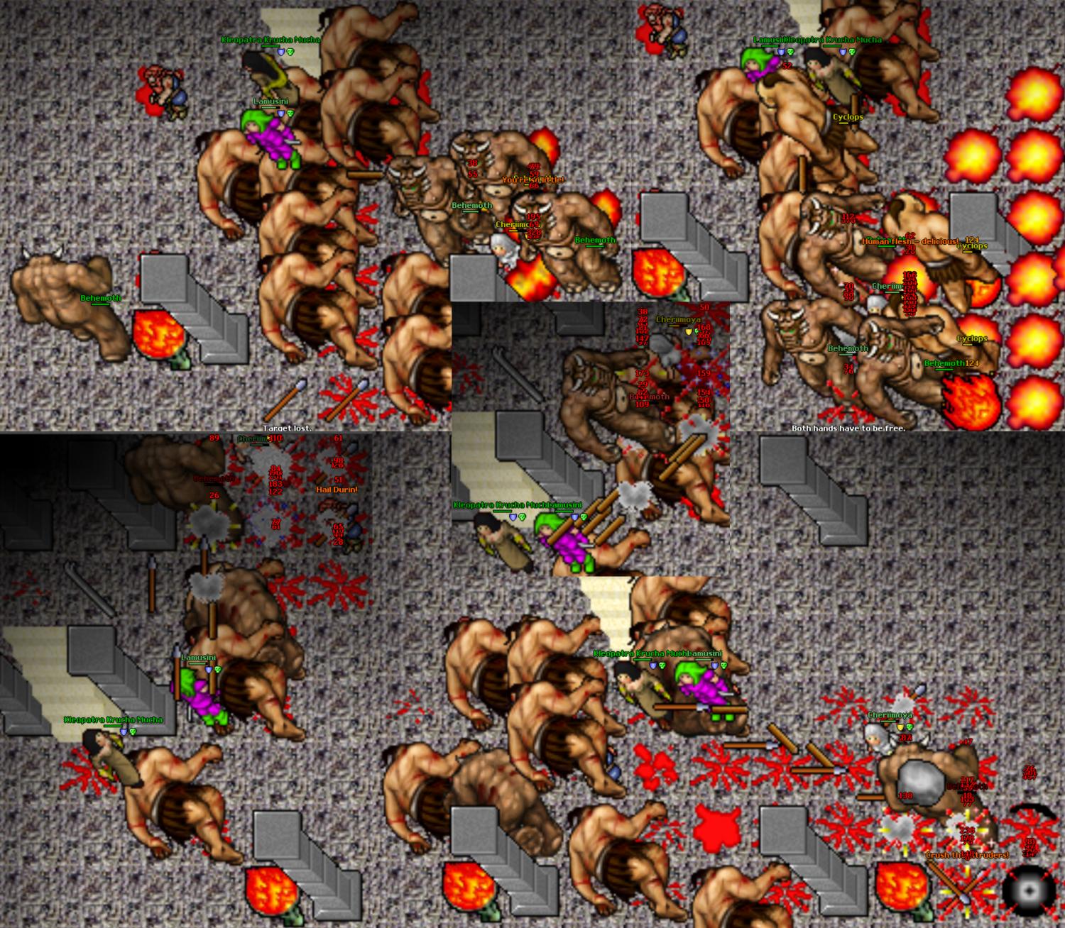 Screeny z Tibiantisa :-)-a12-behemoty2.jpg