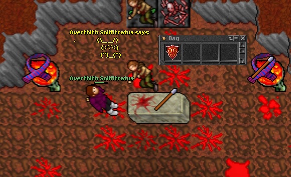 Screeny z Tibiantisa :-)-shield.jpg