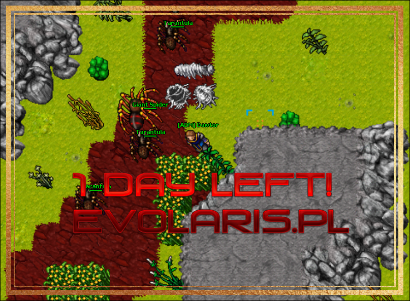 [POLAND] [8.60] EvolarisOTS | 15 Jun 2022 18:00 CET-1-dey-left.png
