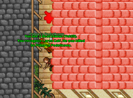 Screeny z Tibiantisa :-)-ezza.png