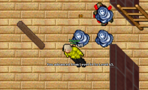 Screeny z Tibiantisa :-)-65.png