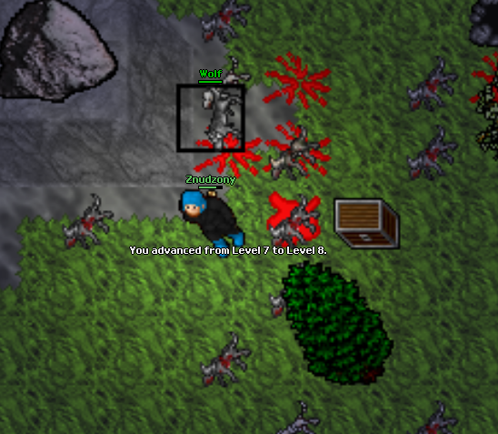 Screeny z Tibiantisa :-)-8lvl.png