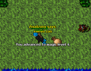 Screeny z Tibiantisa :-)-4mlvl.png