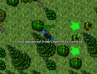 Screeny z Tibiantisa :-)-11lvl.png