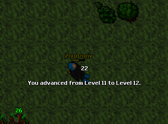 Screeny z Tibiantisa :-)-12lvl.png