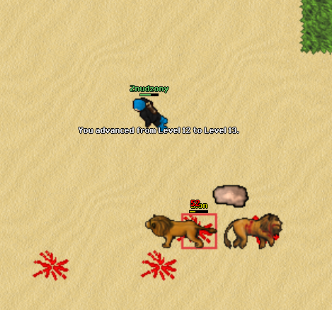 Screeny z Tibiantisa :-)-13lvl.png