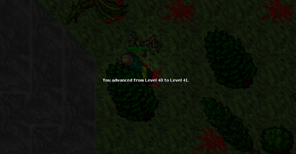 Screeny z Tibiantisa :-)-41.png