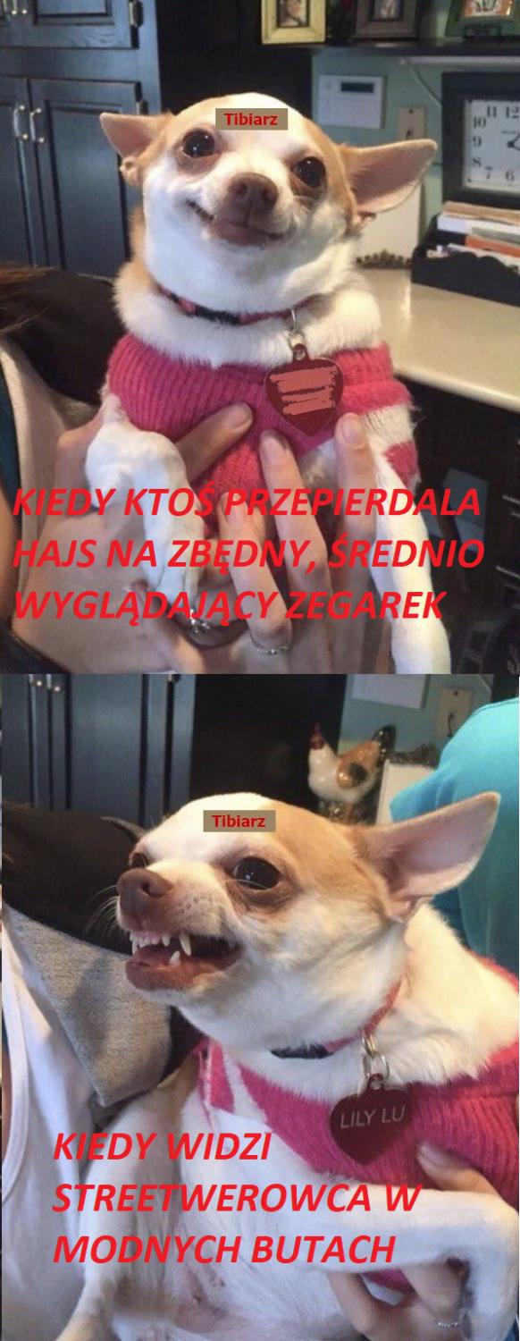 Zegarki - rozmowy ogólne-3ufoby.jpg